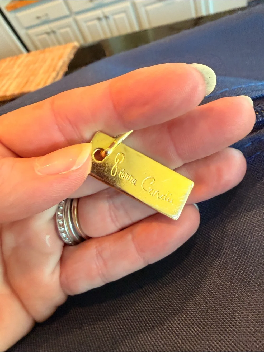 Vintage 1970s RARE NWT Pierre Cardin Large Blue Nylon Luggage Suitcase Bag